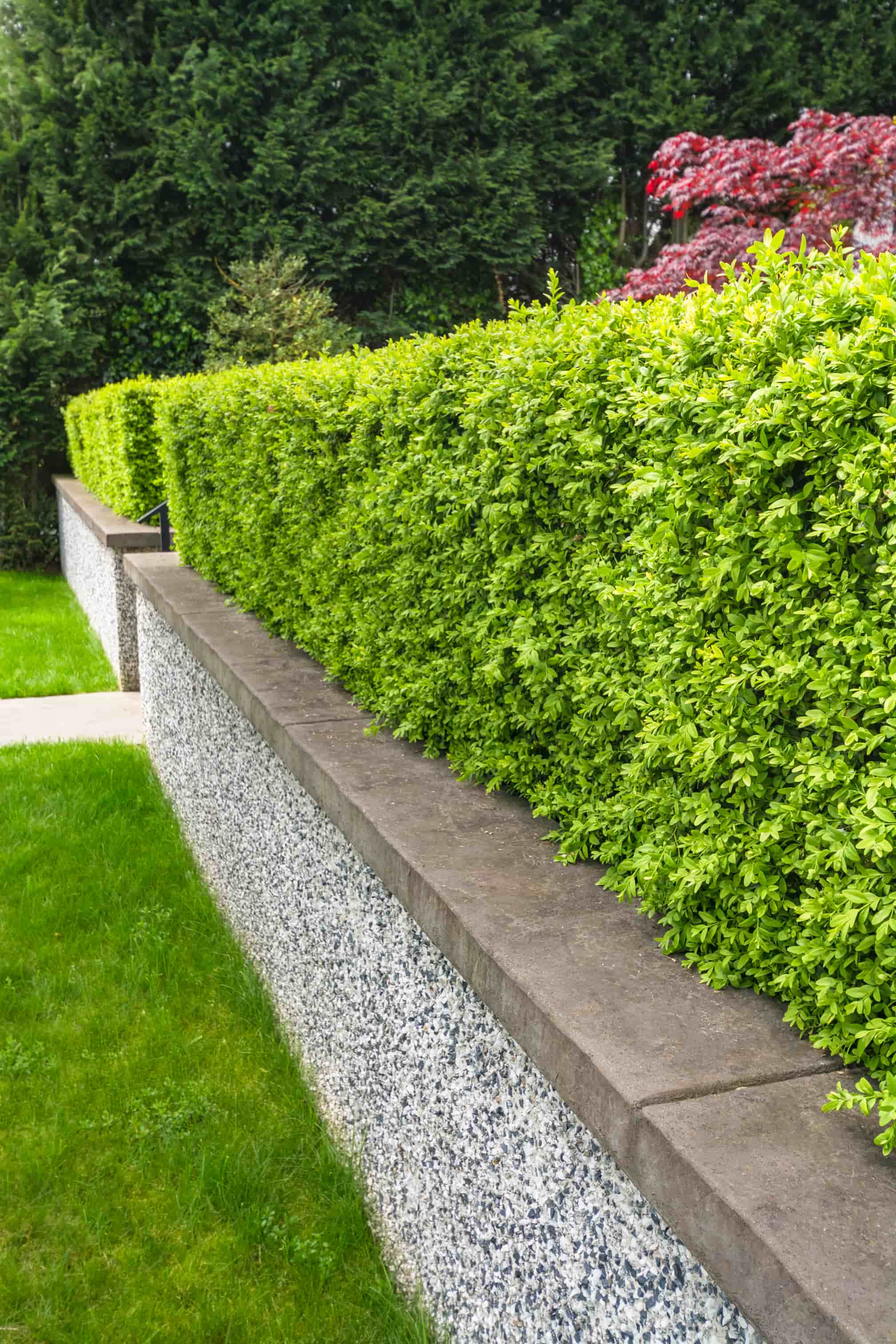 Premium Landscaping by Hartsell's